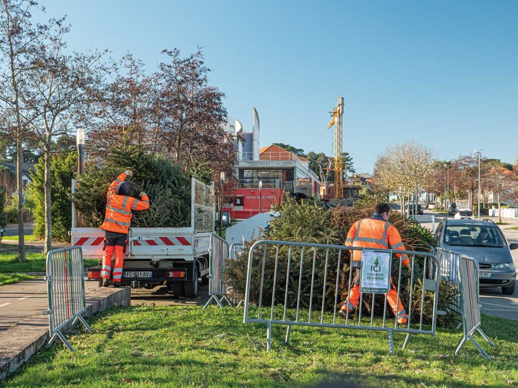 Recyclage sapins de Noël