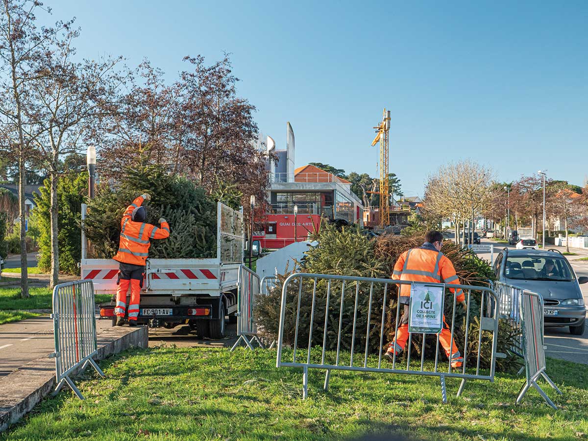 Recyclez votre sapin de Noël